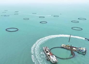 “中国金鲳鱼之都”湛江：养好“一条鱼”打造百亿元富民产业