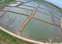 我国首个盐碱地水产养殖领域国家标准发布