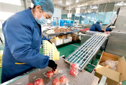青海省传统农食产品出口持续增长