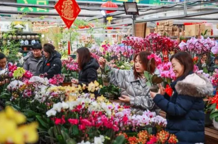 春节市场供需两旺 印证中国经济韧性与活力