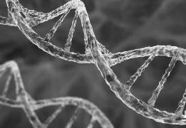 超2.75亿个人类基因新变异发现