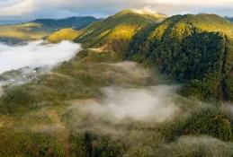 福建出台政策支持发展森林旅游
