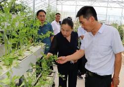 为乡村振兴培养带不走的“生力军”  去年河南农业领域新增技能人才32.4万人