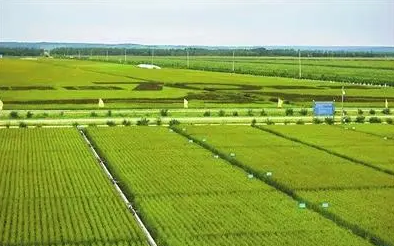 黑龙江黑河建立国家和省级农业项目成果统筹示范基地