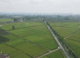 2024年四川省全面加强耕地保护