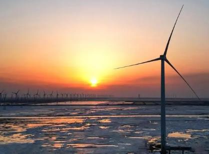 我国首个“海上风电+海洋牧场”全年上网电量将超10亿千瓦时