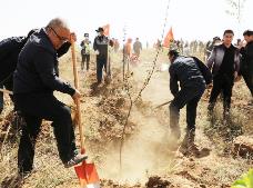 内蒙古今年计划完成义务植树3000万株