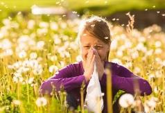 花粉季如何应对儿童过敏性鼻炎？