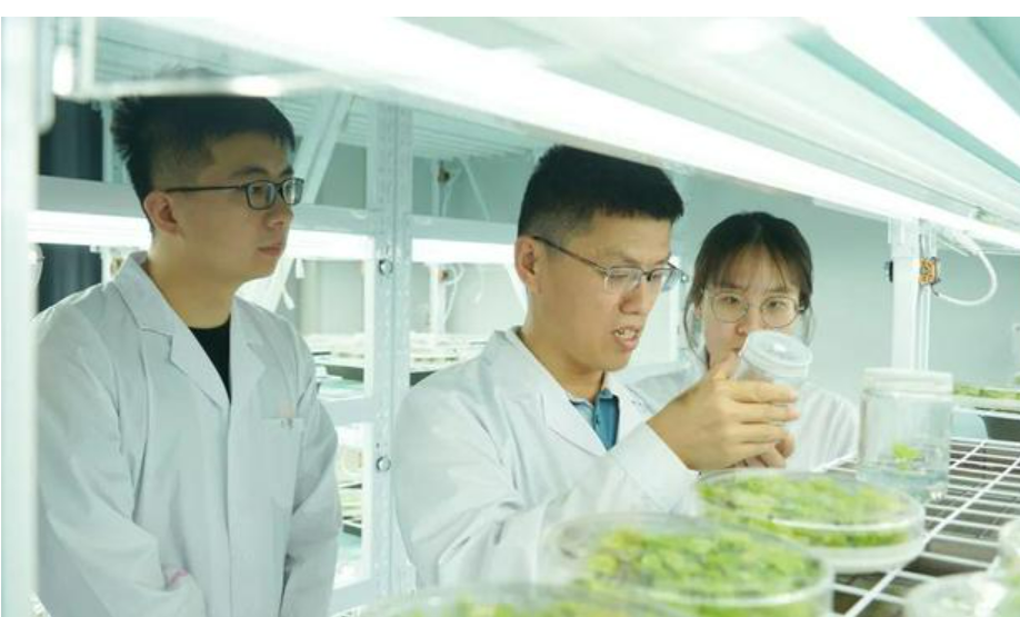 福建省首次设立青年科学基金