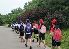 北京：研学旅行活动不作为评价学校教育依据