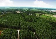 河南省发布首个林业标准综合体
