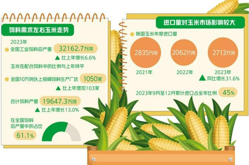 今年玉米市场走势如何