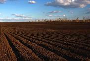 今年辽宁省对1350万亩黑土地实施保护性耕作