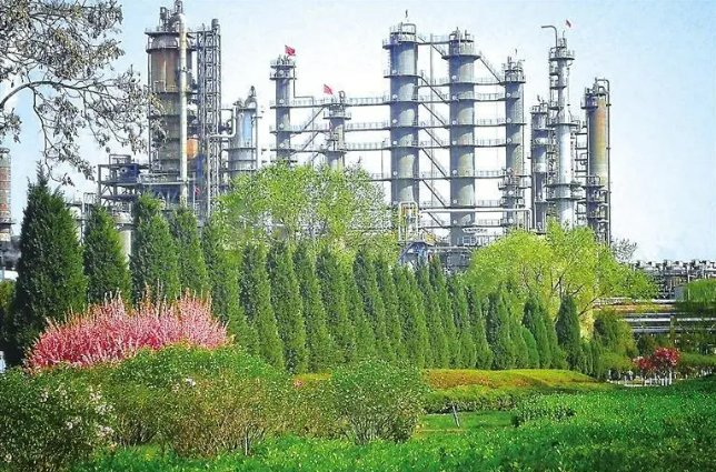 浦江“新绿”见春信——上海打造绿色低碳产业集群观察