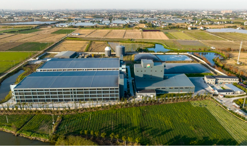 上海布局12个现代设施农业片区