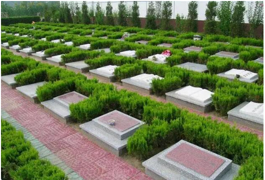 广东节地生态安葬率超63% 每年免除7项殡葬基本服务费用约6亿元