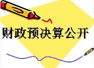 河南省预决算公开度位居全国第二