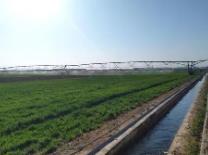 山西到2025年全省总灌溉面积达2356万亩