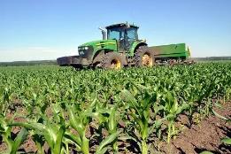 黑龙江成立技术联盟 促玉米种业创新