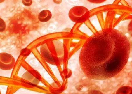 血友病的基因治疗将成趋势