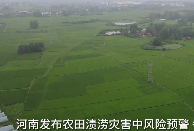 河南发布农田渍涝灾害中风险预警 专家支招田管