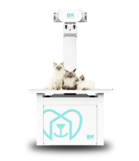 dr品牌怎么样2024年上半年中国宠物DR市场前十强品牌分析_https://www.jmylbn.com_新闻资讯_第1张