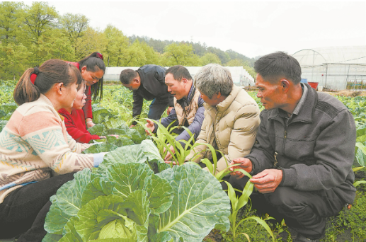 我国农民教育培训将从4方面提升质量