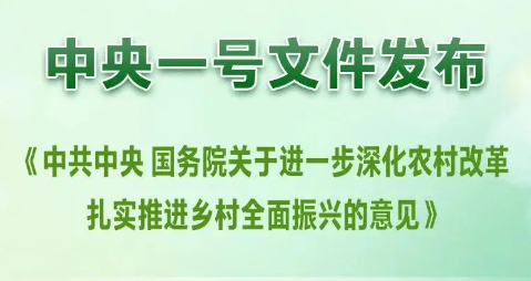中央一号文件，权威回应
