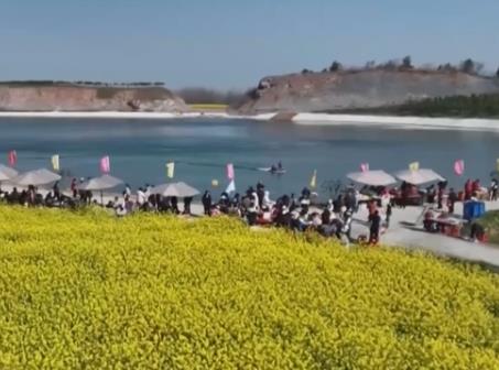 各地积极打造“赏花+”农文旅消费新场景 春日经济“花”样缤纷活力迸发