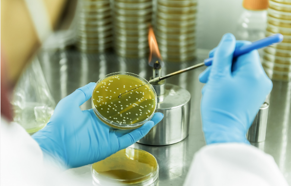 招商局集团领航生物基聚酰胺创新突破 打造生物经济新引擎