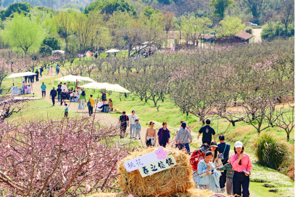 国潮风劲吹 春日文旅向“新”而行