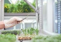 种子企业有了“体检证” 内蒙古首批认证种子上市