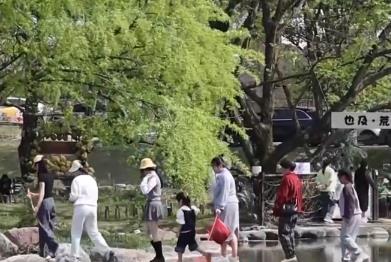 “云端瞰花”、夜樱观赏、户外露营……消费场景融合焕新 旅游市场平稳有序
