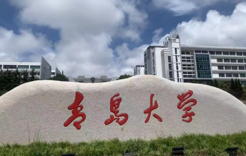 青岛大学多举措创新标准化专业人才培养模式