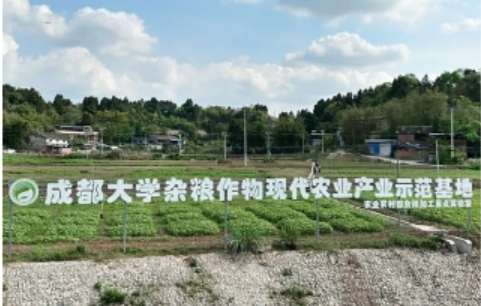 成都大学： 构建从“一粒种子”到“一桌美食”的全链条创新