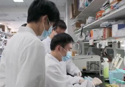 中国科学家破解肠道免疫调控密码 为疾病治疗开辟新路