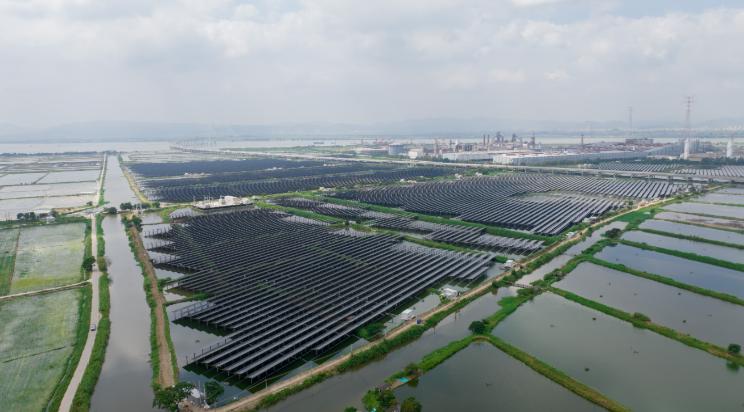 广东首批110千伏新能源电站参与电力现货市场交易