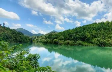 现有1361个自然保护地！广东高水准推进绿美保护地建设