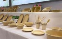四川宜宾：从造纸到烘焙，打造“以竹代塑”产业高地