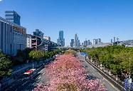 广东首个都市圈生态环保规划发布