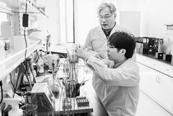 黑龙江发布成果转化改革攻坚方案