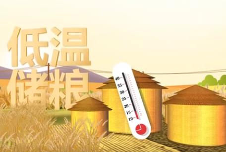 保质保鲜 科学储粮守好“大国粮仓”