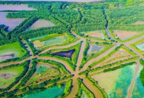 广东湿地总面积约190万公顷 保护宣传周活动启动