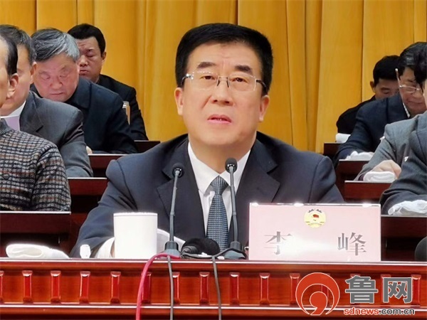 李峰在枣庄市政协十届四次会议上的讲话