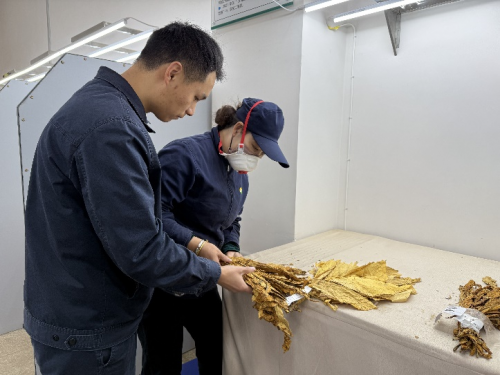赶“烤”路上  感恩常伴