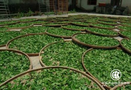 2017年我国茶叶产量增加 结构优化