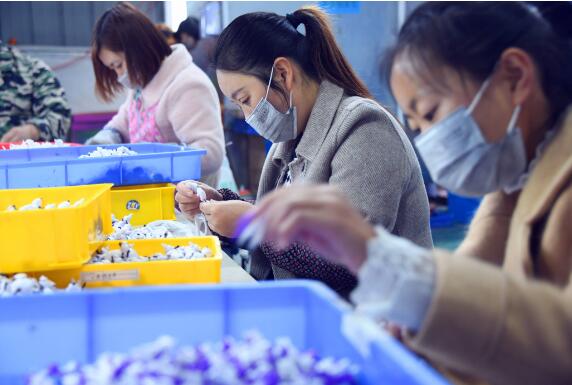四川省易地搬迁劳动力就业规模达51.9万人