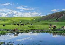 合理避让社会发展和居民生产生活空间  内蒙古印发自然保护地体系发展规划