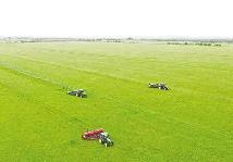 内蒙古11项政策推进草产业高质量发展