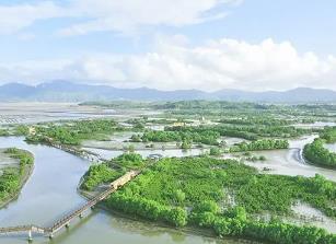 广东获首批国家红树林造林奖励新增建设用地计划指标